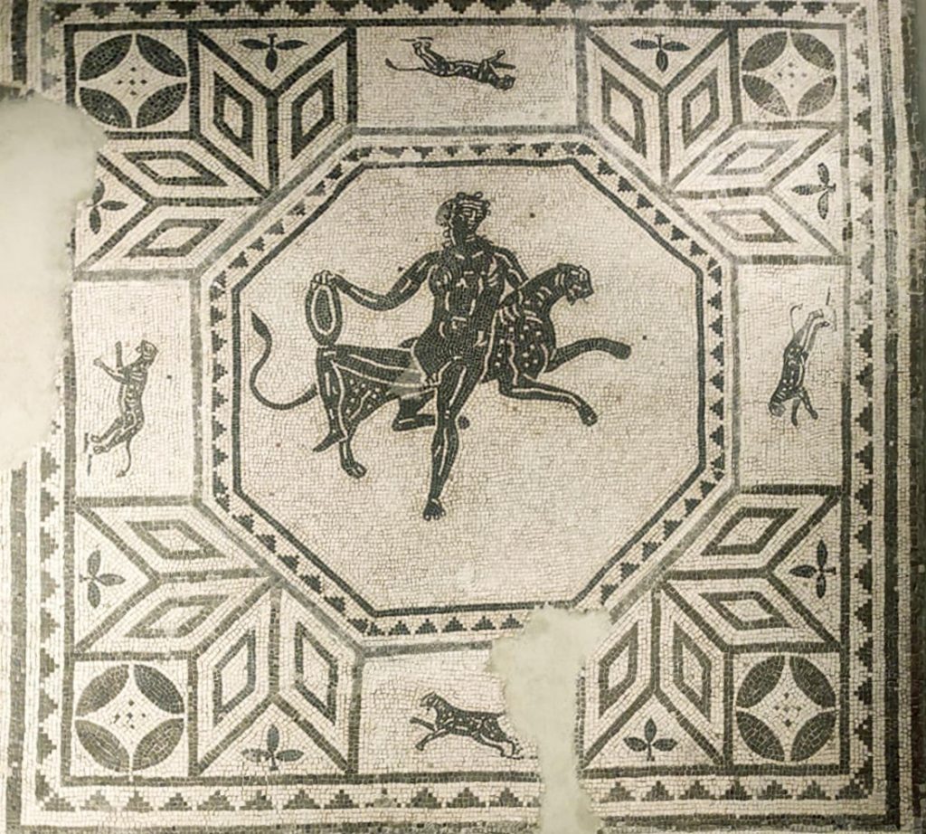 Sabato 29 luglio si inaugura l’allestimento del Mosaico della Violella al Museo Nazionale Etrusco di Chiusi