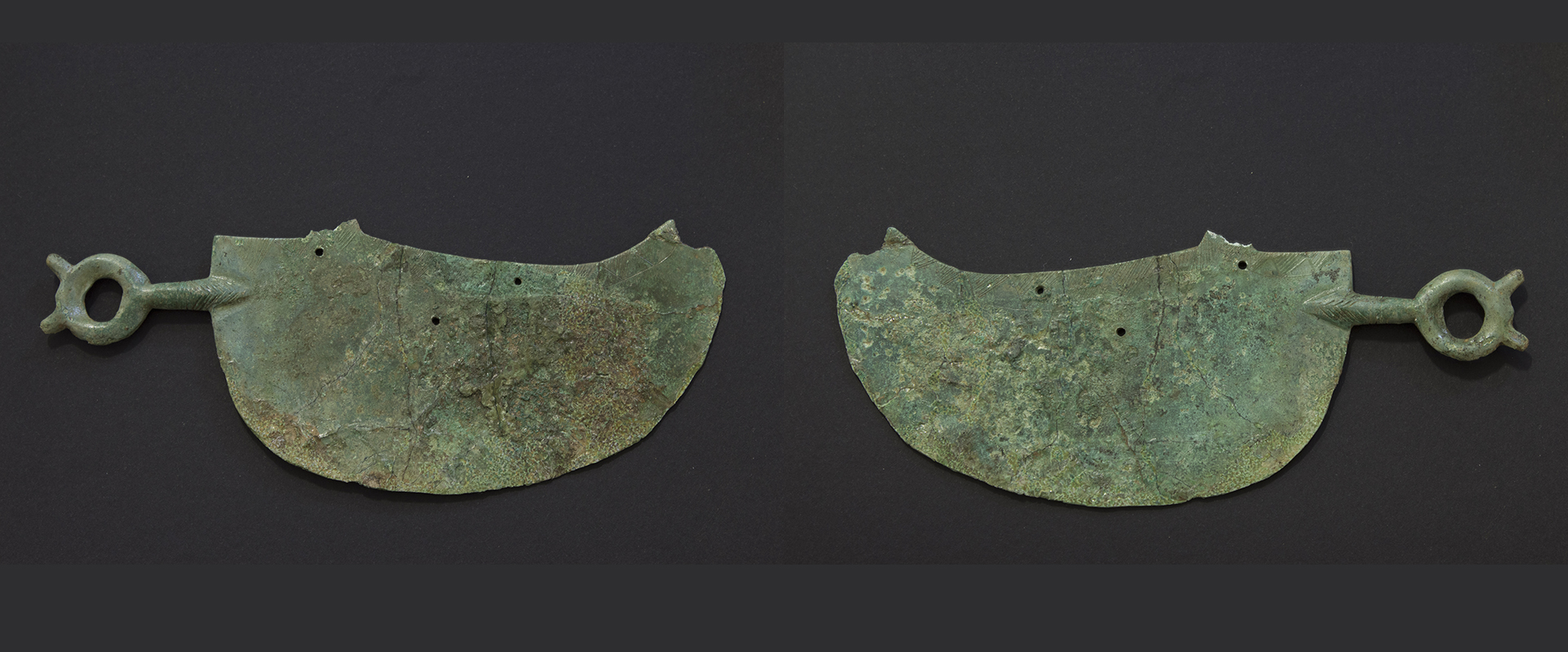 Cinque rasoi di bronzo dalla necropoli villanoviana di via Marche a Pisa