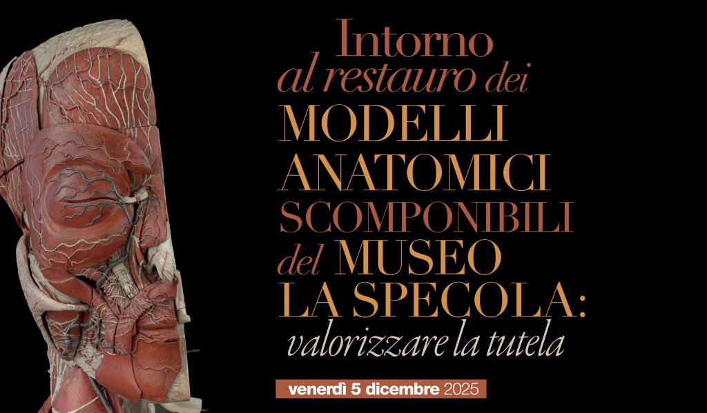 Venerdì 5 dicembre il convegno: “Intorno al restauro dei modelli anatomici scomponibili del Museo La Specola: valorizzare la tutela” all’Opificio delle Pietre Dure e al Museo La Specola