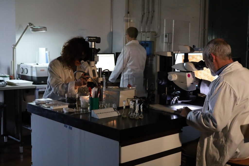 Workshop internazionale “Diagnostics for Cultural Heritage: Research, Conservation, Accessibility”