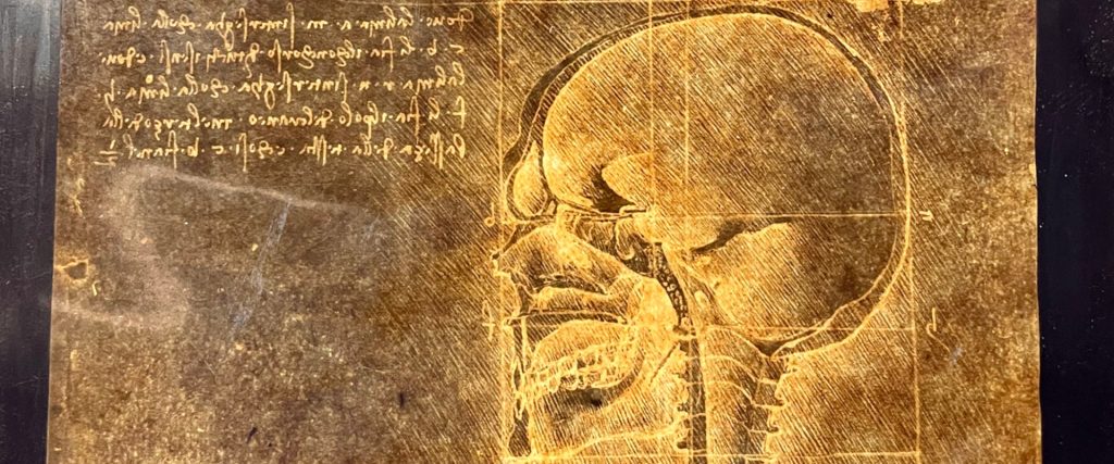 Pellicole fotografiche riproducenti il manoscritto leonardiano “Dell’Anatomia, Fogli B”, 1892-1898 ca. Museo Galileo di Firenze